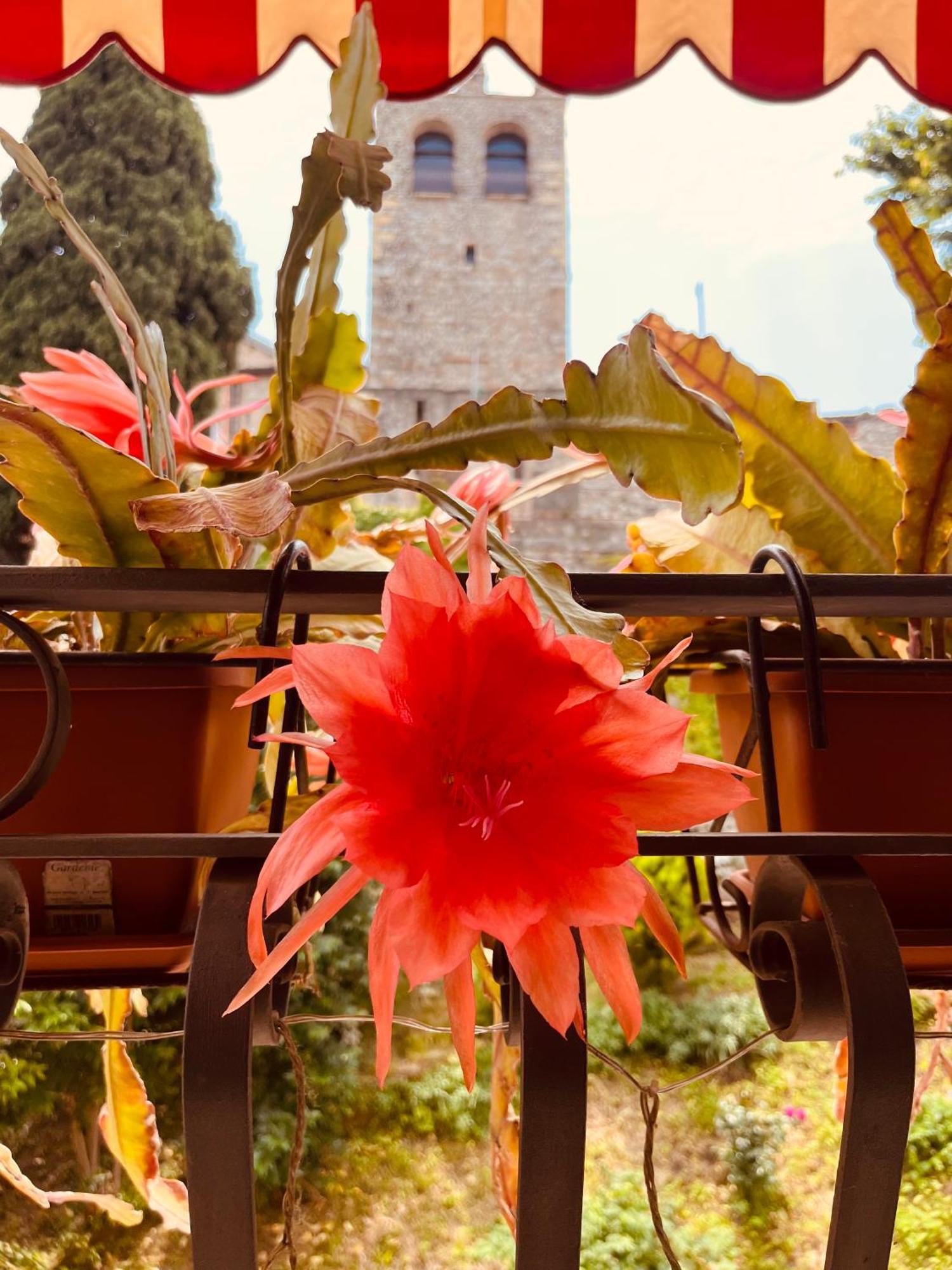 The Queen Tower Desenzano del Garda Exterior photo
